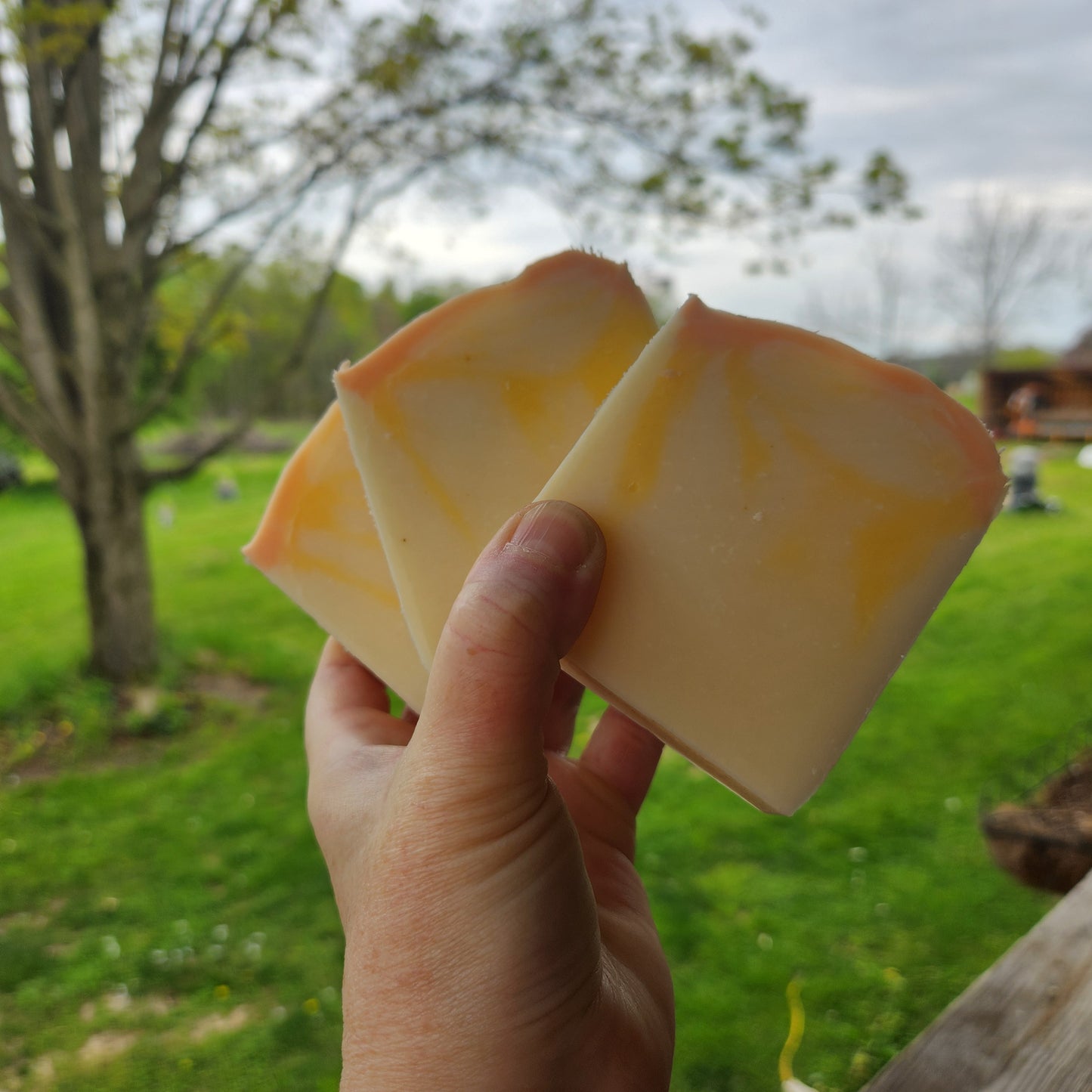 Tallow Bergamot Necter, Bar